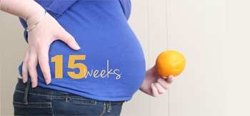 سونوگرافی هفته پانزدهم بارداری