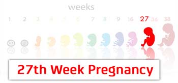 سونوگرافی هفته بیست و هفتم بارداری