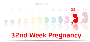 سونوگرافی هفته سی و دوم بارداری