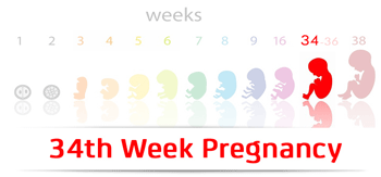 سونوگرافی هفته سی و چهارم بارداری