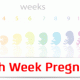 سونوگرافی هفته سی و پنجم بارداری