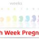 سونوگرافی هفته سی و هفتم بارداری